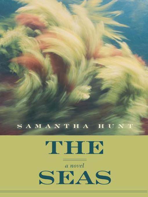 Title details for The Seas by Samantha Hunt - Wait list